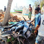 Rua Beach - fresh catch of the day