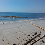 Rua beach - soaking the bamboo in salty water